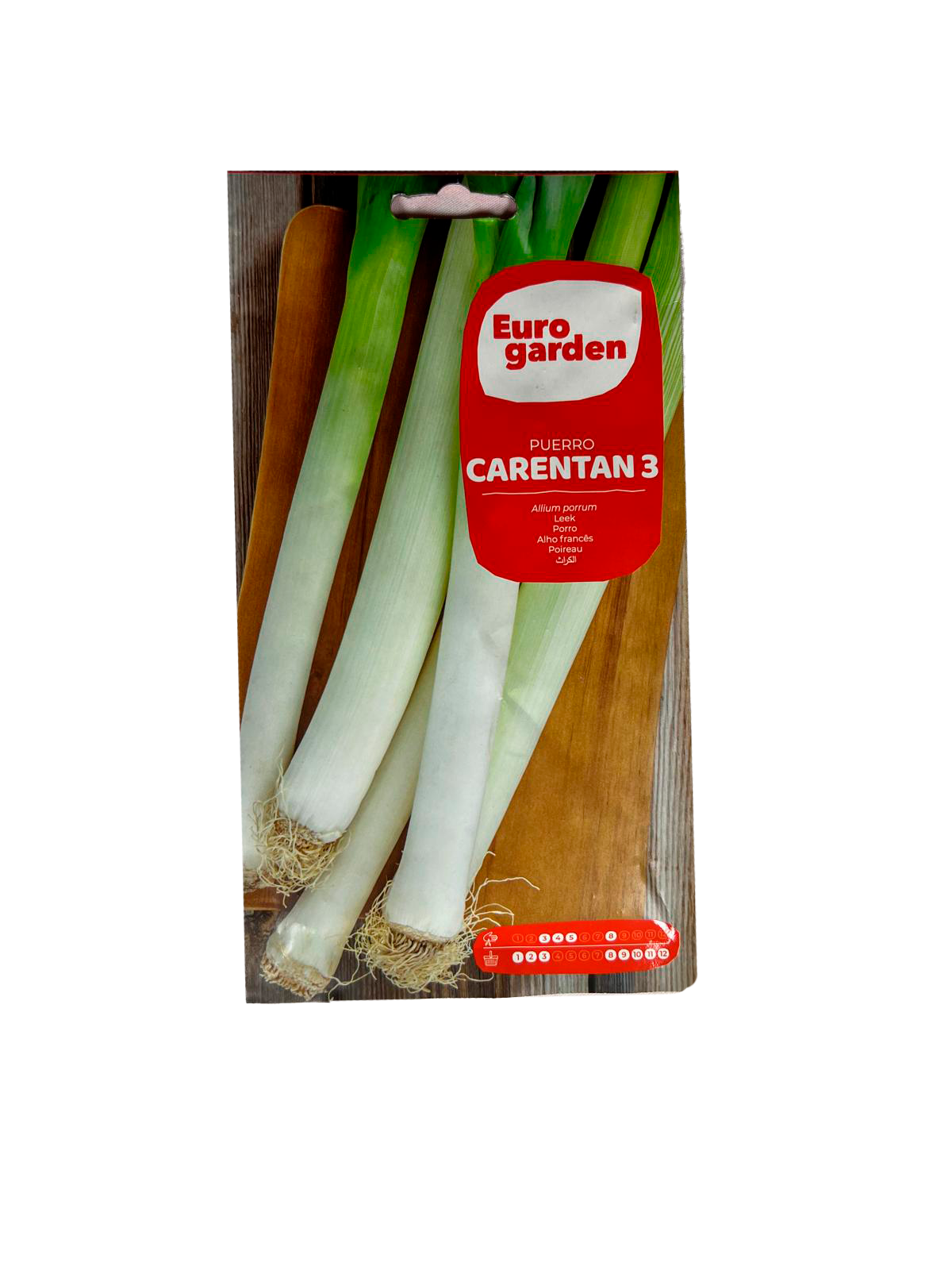 Puerro carentan 3 1
