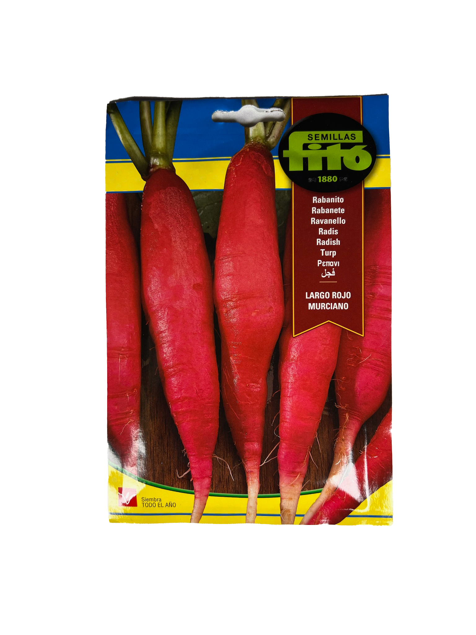 Rabanito largo rojo murciano 1