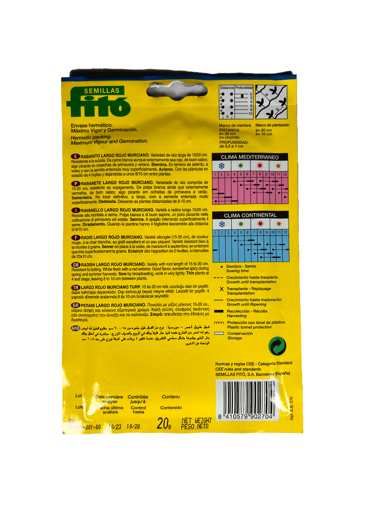 Rabanito largo rojo murciano 2