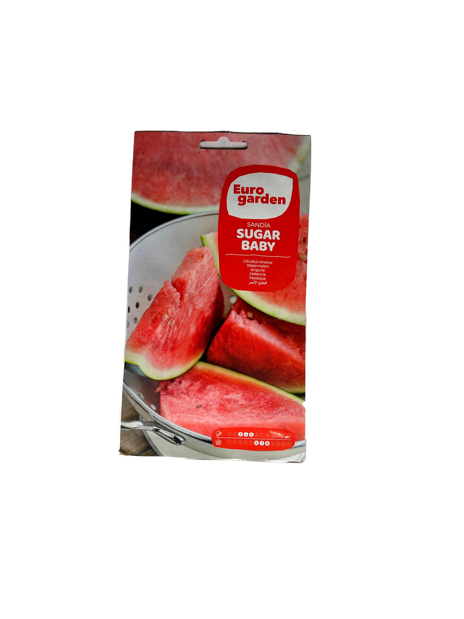 Sandia sugar baby 1